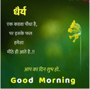 Good Morning Beautiful Shayari Image Pics Hindi
