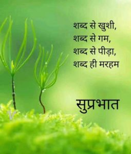 Happy Good Morning Images in Hindi
