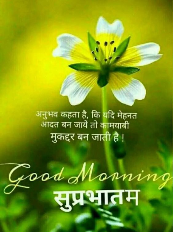 Inspirational Good Morning Image With Shayari In Hindi