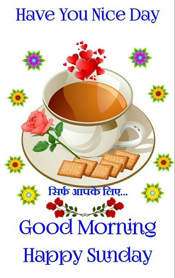 81 Beautiful Sunday Good Morning Images In Hindi