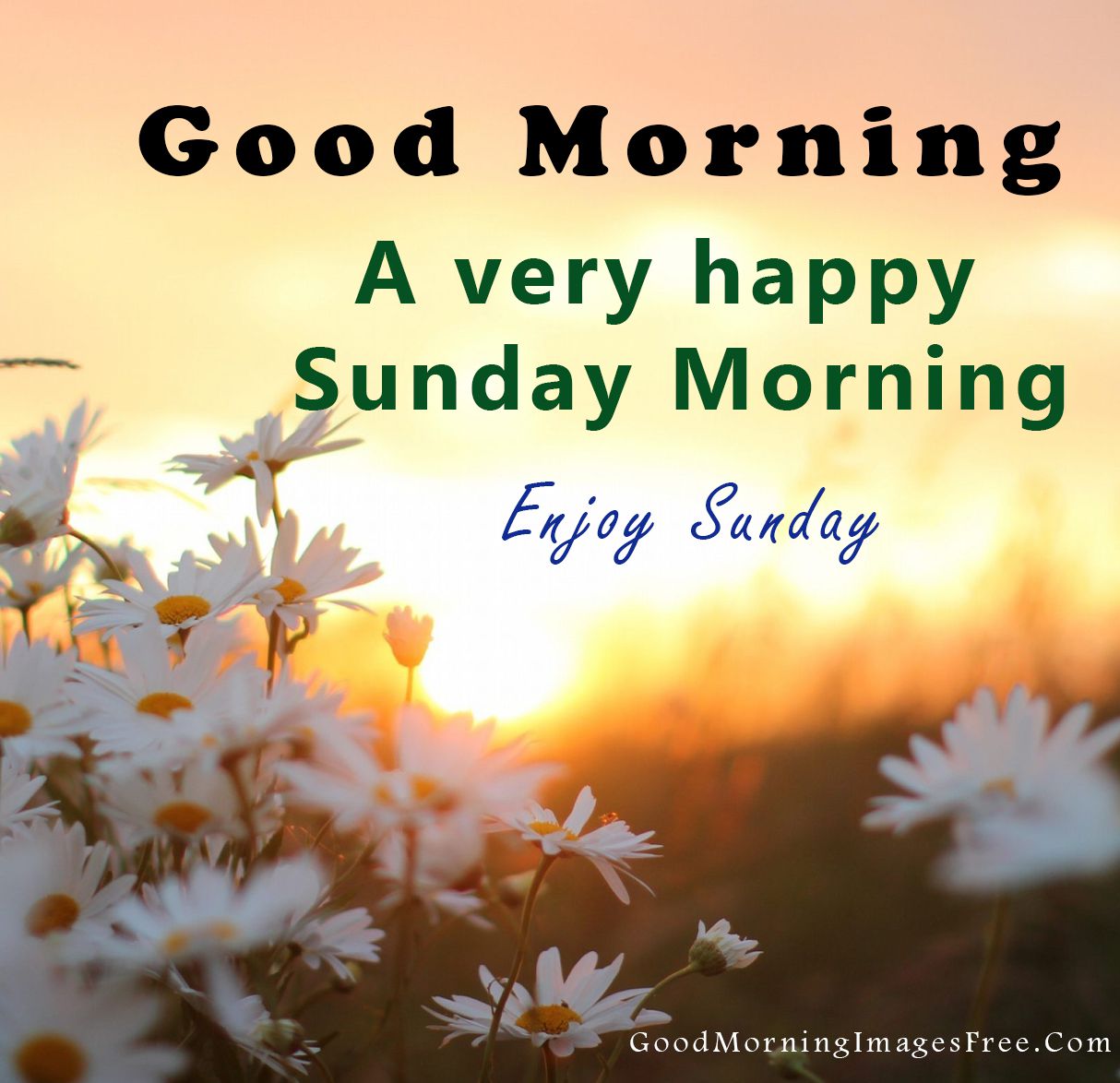81+ Happy Sunday Good Morning Images Photos HD Download