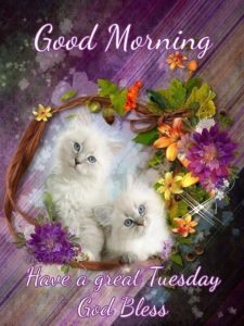 Beautiful Tuesday Good Morning Wallpaper
