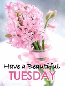 Beautiful Tuesday Morning Flower Image Pics