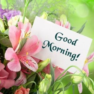 Download Free HD Good Morning WhatsApp Images