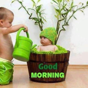 Good Morning Amazing Funny Photo Image