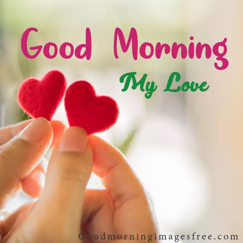 80+ Couple Good Morning Love Images, Quotes, Pics Download