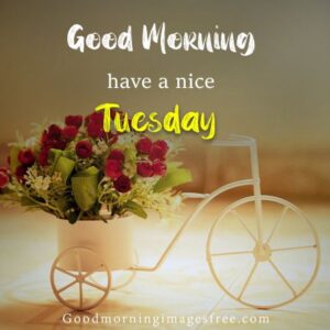 Good Morning Tuesday Nice Day Images