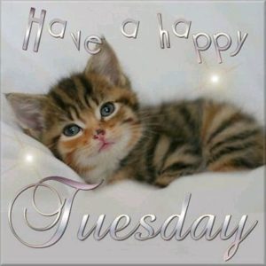 Happy New Tuesday Good Morning Image