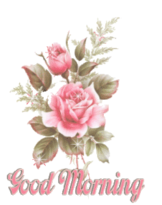 Rose Flower Good Morning Gif Image for Girlfriend