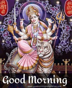 Jai Mata Di Sherawali Good Morning Image Durga Mata Nav Durga Shree Ambe Mata Ji Photo DP