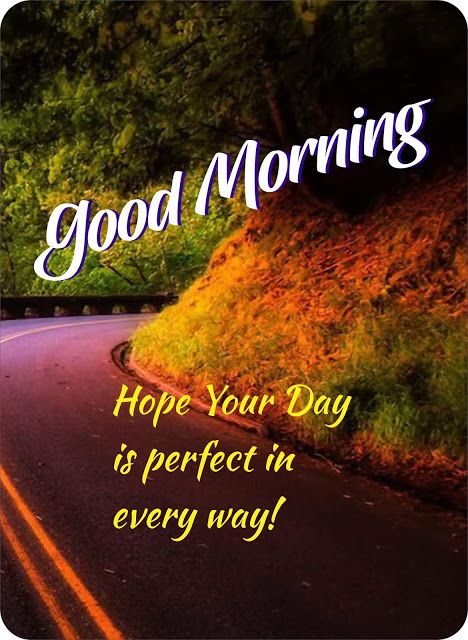 814+ Best Gud Mrng Msg Whatsapp Status Quotes Thoughts in English