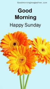 Good Morning Sunday, Happy Sunday, Sunday Wishes Image
