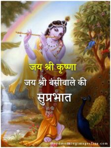 God Krishna Good Morning Image Download Wallpaper Free