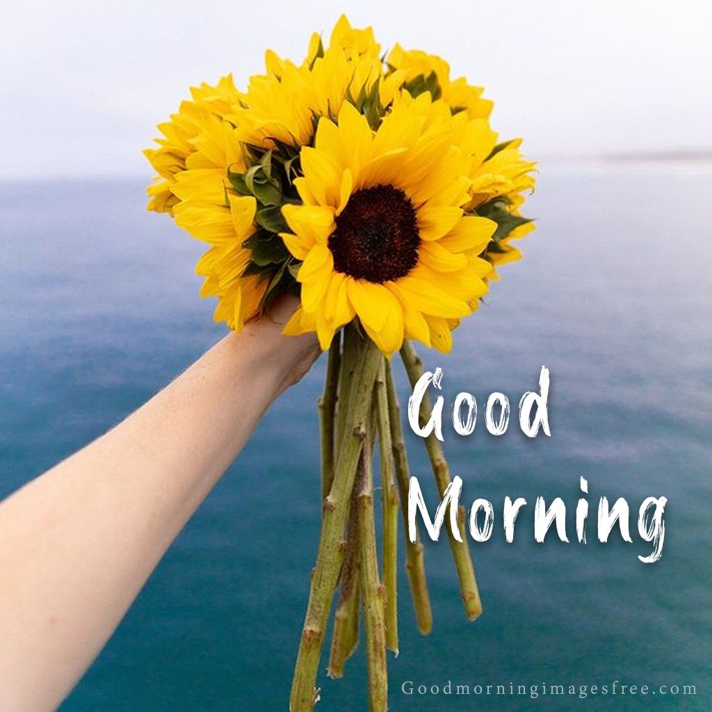 Good Morning Images Wishes with Fresh Flowers