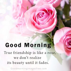 Good Morning with Roses Quotes Image HD Wallpaper