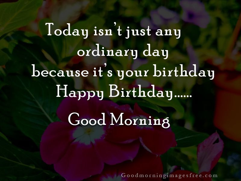 Happy Birthday Good Morning Wishes with Image