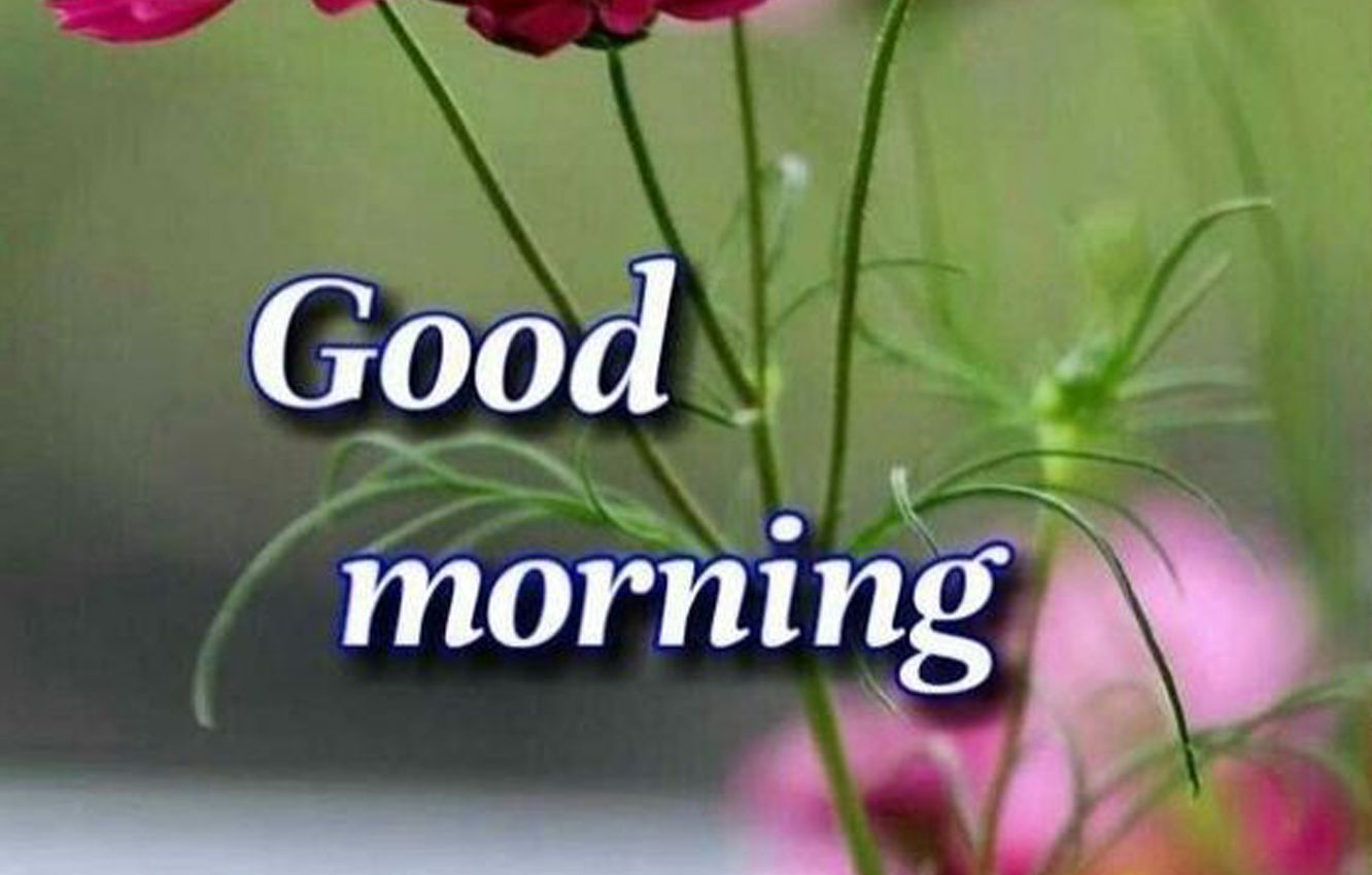 30 Best Good Morning 4k Hd Images Good Morning 4k Hd Images Download