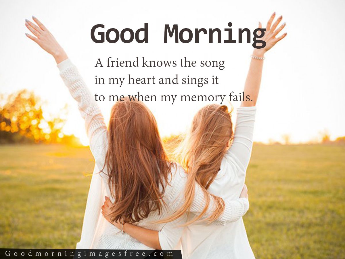 85+ Friends {Friendship} Good Morning Images Quotes Download