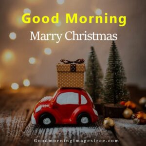 Good Morning Marry Christmas Download Photo